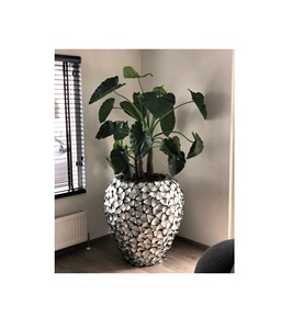 Elegante maceta de nácar, bellamente elaborada para complementar los interiores de un hogar con estilo, con detalles brillantes. - Product Image 4