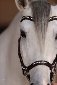 Bride anatomique noire de haute qualité pour chevaux New Goutte Muserolle et Snaffle Leather Wholesale - Product Image 3