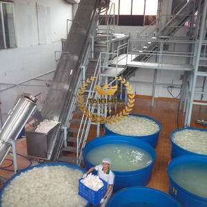 ผงมะพร้าว100% บริสุทธิ์ที่ผ่านการบดละเอียดแล้วส่งไปยังยุโรปสหรัฐอเมริกา - Product Image 3