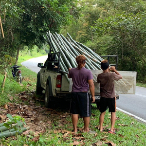 Moso Piquets de jardin en bambou avec finition naturelle et branches en option pour l'aménagement paysager extérieur Matières premières de bambou écologiques - Product Image 3