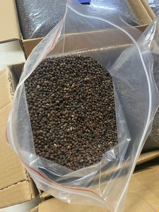 2024 VENDEUR CHAUD GRAINES DE PAPAYE SÉCHÉES DE HAUTE QUALITÉ DU VIETNAM À L'ALLEMAGNE ÉTATS-UNIS MARCHÉ MS AMELIA HUYNH + 84855014447 AU MEILLEUR PRIX - Product Image 5