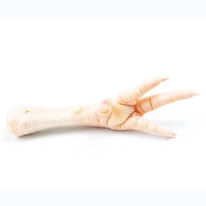 Pieds de poulet de haute qualité, produit avicole frais, nettoyés et prêts à cuisiner, pour plats et soupes traditionnels - Product Image 5