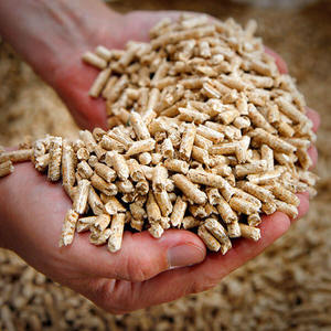 Meilleur prix pour des briquettes de bois naturelles de 6 mm, 15 kg, fabrication de biomasse, pellets de bois à faible teneur en cendres - Product Image 3