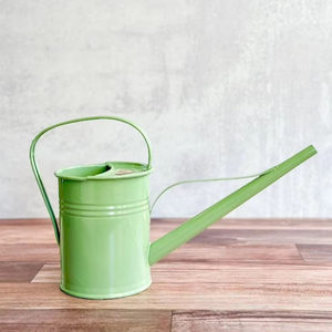 Longlasting <b>Lightweight</b> Metal Water Can for Flowers and Herbs with Rustproof Coating and Easy Grip Handle Design - Product Image 1