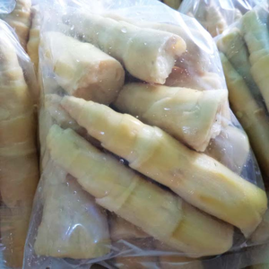 <b>FROZEN</b> BAMBOO SHOOTS | VIETNAM ORIGIN | CLEAN LABEL | NATURAL <b>VEGETABLE</b> - Product Image 6