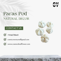 Rangkaian Bunga Kering Paras Pod Kualitas Premium Populer untuk Dekorasi DIY Pernikahan, Rumah, Acara Romantis, Kantor, Profesional, dan Elegan