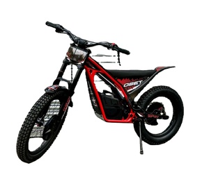 Listo para enviar hoy: Nuevo y último modelo O-S-E-T TXP-24, motocicleta todoterreno con arranque eléctrico automático, 1 año de garantía. - Product Image 1