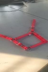 Kanpur Fabricant Vente en gros directe de haute qualité Selle anglaise personnalisée Cheval licou Nylon Web Équipement d'équitation - Product Image 2