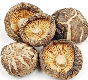 Hongos naturales secos Shiitake de Vietnam, ingredientes de alta calidad para salsas y comidas asiáticas - Product Image 4