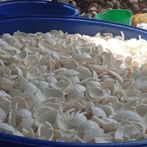 थोक उच्च गुणवत्ता वाले जमे हुए नारियल का मांस वाइटनम से निर्यात करता है