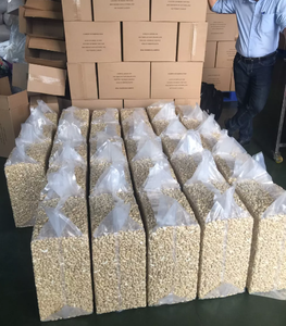 Nueces de Anacardo Blanqueadas Premium W320 W240, Nueces Secas, 25 kg, Envasadas al Vacío para Exportación - Product Image 2