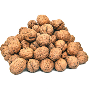 Wholesale Top Quality <b>Walnuts</b> In Cheap Price - Product Image 1