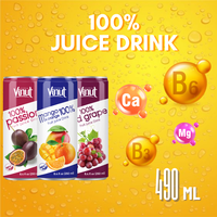 250Ml Vruchtensapdrank Kan Waterfles 100% Geen Suiker Vetarme Vrije Monsterfabricagedrank Van Vietnam Private Label Oem