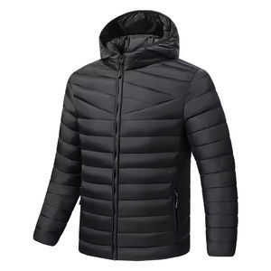 2025 gran oferta OEM ODM chaqueta acolchada de lujo de alta calidad para hombre para el invierno chaquetas acolchadas con capucha de burbuja proveedor - Product Image 1