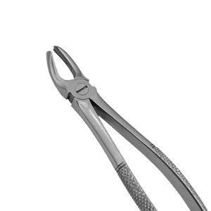 Fórceps de extracción puntiagudos Instrumentos quirúrgicos dentales dentados Fórceps de extracción de dientes de acero inoxidable - Product Image 2