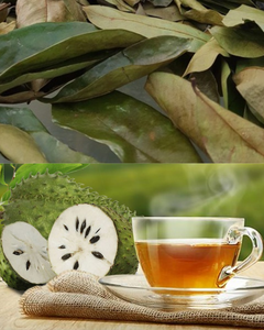 TÉ DE HOJA DE GUANÁBANA ORGÁNICA / EXPORTACIÓN DE VIETNAM - Product Image 3