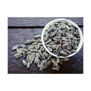 Graines de tournesol en vrac, commandes en gros, prêtes à l'exportation, livraison rapide, prix compétitif - Product Image 2