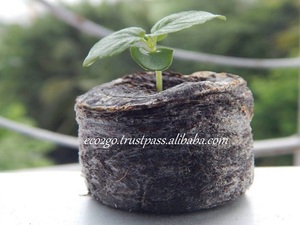 Vente directe sur la vente en gros de granulés de tourbe de coco et de granulés de coco de coco de Eco2go Vietnam - Product Image 6
