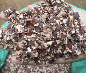 Cáscara de Anacardo Seca para la Producción de Carbón Vegetal y Biocombustible - Product Image 1