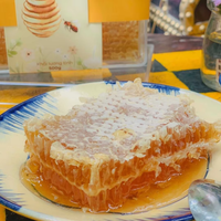 Gâteau au miel de fleurs 100% naturel Délice riche, cru et prêt à déguster Dessert d'origine vietnamienne Goût // Mme Lily