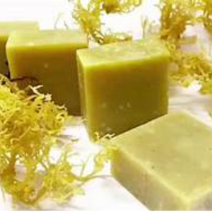 High Quality Sea Moss <b>Soap</b> from Vietnam with Best Price - Product Image 2