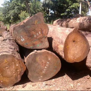20-24 Round Hardwood Timber <b>Logs</b> For Sale - Product Image 1