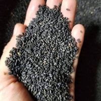Sésame noir nettoyé |   Non torréfié |   ORIGINE THAÏLANDE |   pour la confiserie et les aliments santé |   QUALITÉ ALIMENTAIRE |   Durée de conservation de 24 mois |   EN GROS