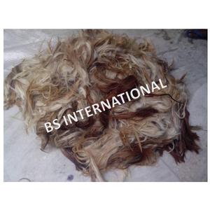 ผมต่อหางม้าสีผสมสำหรับแปรงทาสีขัดเงาผมหางสัตว์ทนทานอายุการเก็บรักษานาน3ปี - Product Image 2