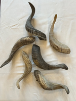 Shofar en corne de mouton polie de haute qualité, moderne, 100% naturel, imperméable, finition naturelle, à prix avantageux par Crescent Crafts