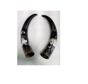 Búfalo par cuerno único negro cuerno largo tamaño personalizado y precio barato con par de cuerno de tamaño mediano - Product Image 5