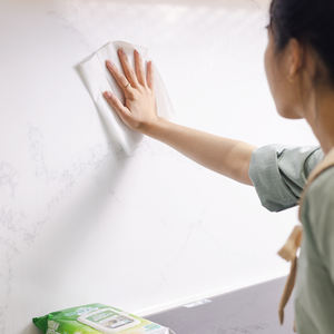 Lingettes nettoyantes de cuisine antiseptiques de qualité supérieure de 42 pièces fabriquées au Vietnam par le fabricant - Product Image 2