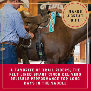 Precio barato de alta calidad 2025 Venta al por mayor Último diseño personalizado Circunferencia de equitación Material personalizado Circunferencia Nuevo diseño - Product Image 4