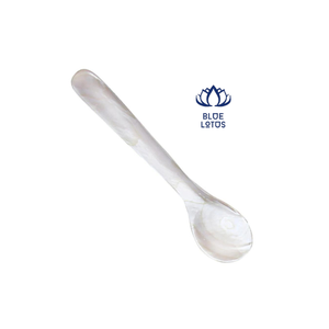 Conch Seashell ช้อนช้อนกาแฟราคาที่ดีที่สุดจากเวียดนาม - Product Image 6
