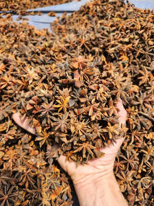 Anis étoilé vietnamien/palgak/chakra phool pour l'exportation-haute qualité, meilleur prix (WA: + 84362512699) - Product Image 4