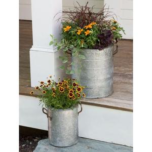 Maceta galvanizada de estilo lujoso hecha a mano para decoración moderna del hogar con mango de cuerda y diferentes tamaños para obtener en Rana Overseas Inc - Product Image 4