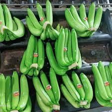 MEILLEURE BANANE CAVENDISH FRAIS À VENDRE FOURNISSEUR PAR KELLY AU VIETNAM - Product Image 2