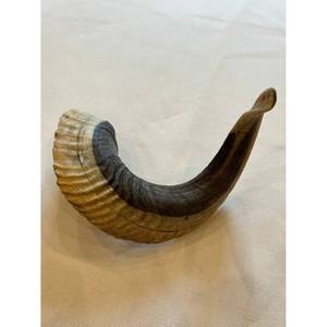 Cuerno de búfalo Cuernos para beber Cuerno para beber vikingo natural con soporte de Cuero al costo más bajo - Product Image 1