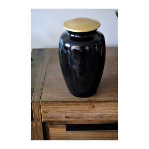 Alta demanda con precio razonable Cremación de mascotas hecha a mano Urnas de color negro Urna de latón Cremación de MSR en el extranjero - Product Image 2