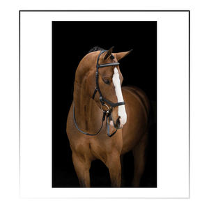 Objeto questrian eath novnovbo Bo ickickickamamomomomompetition ririririririri - Product Image 5