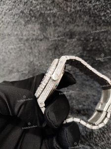 เครื่องประดับคุณภาพดีสไตล์อินเดียนาฬิกาเพชรโมอิสสแตนเลส - Product Image 4