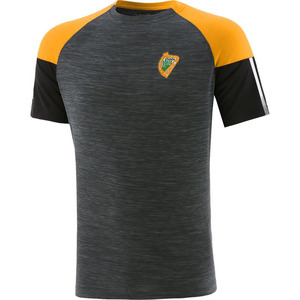 Maillot de football GAA sublimé personnalisé de meilleure qualité Vêtements de football gaélique de haute qualité 100% polyester à manches courtes Service OEM solide - Product Image 2