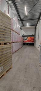 Coca-Cola Classic Plus Light Sin Azúcar, Botella de 320 ml, Bebidas Carbonatadas, Origen Vietnam, Venta al por Mayor - Product Image 2