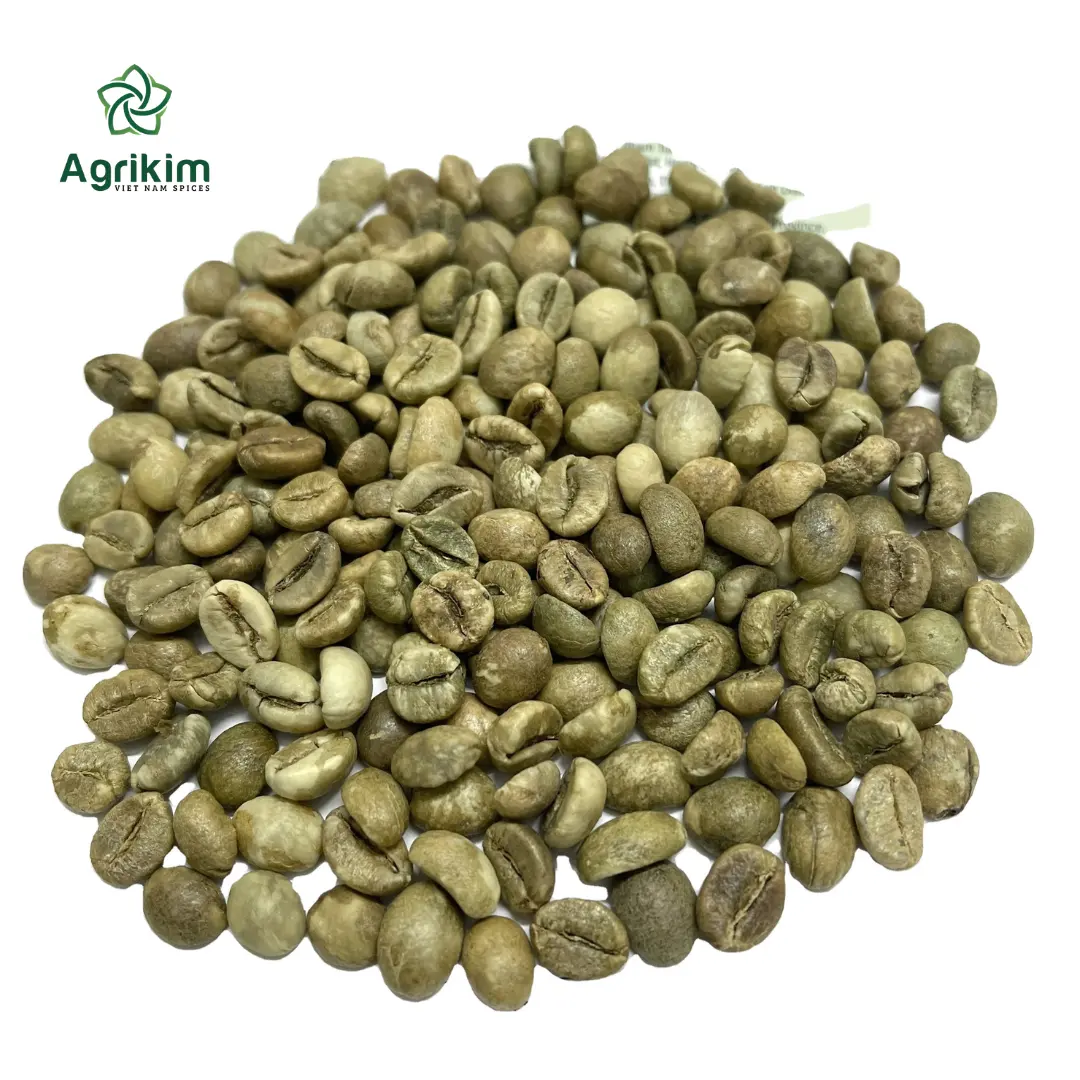 [Campioni gratuiti] chicchi di caffè Robusta e Arabica del Vietnam chicco di caffè biologico di alta qualità prezzo competitivo + 84.359.313.086