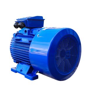 IP55 IP56 Motor eléctrico trifásico de CA 380V 0.18kW 315kW Motor asíncrono 50Hz 60Hz Precio competitivo de Vietnam - Product Image 2