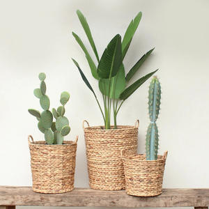 Panier de jardinage en jacinthe d'eau tressé, pot de fleurs en matériau naturel - Product Image 2