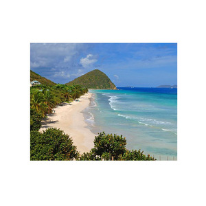 Bûches en bois de hêtre de haute qualité pour le travail du bois disponibles en vrac à un prix avantageux - Product Image 6