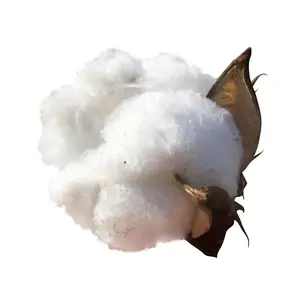 綿リンターパルプルースロールシート綿セルロース原料メーカー価格