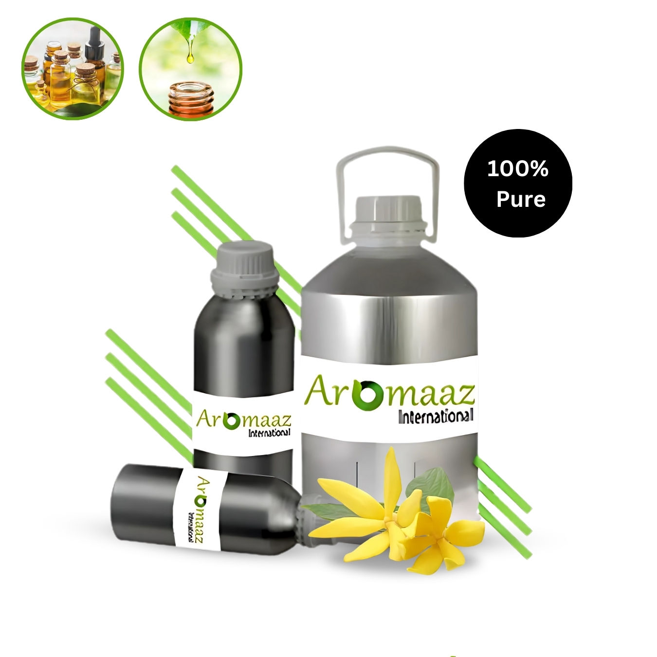 ซีดเป็นสีเหลืองเข้ม