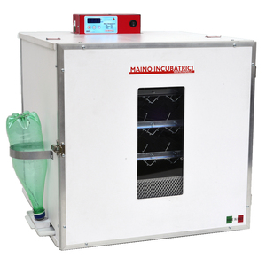 Incubateur d'œufs de poule automatique, Mini PRO 147 D, à vendre, italie, CE, 147 - Product Image 3