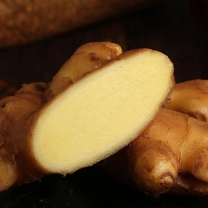 Sélection d'approvisionnement séché à l'air de gingembre frais chinois de super qualité - Product Image 3